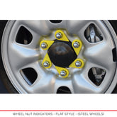 Wheel Nut Indicators